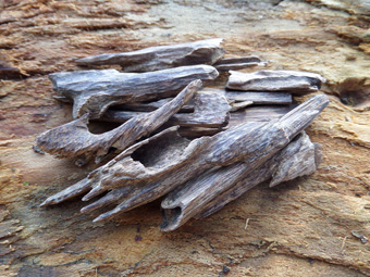 Organic Assam Agarwood Chips