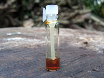 Organic Royal Assam Agarwood Oil (0.25g Sample)