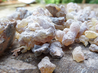 Frankincense Resin