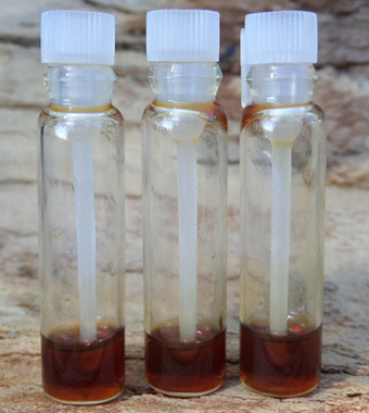 Sample Set - Organic Agarwood Oil Collection (3 x 0.25g Samples)