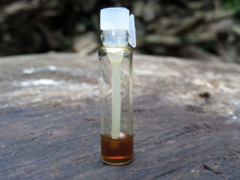 Organic Cambodian Agarwood Oil (0.25g Sample)