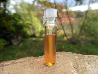 Rose & Patchouli Oil (1ml Sample)