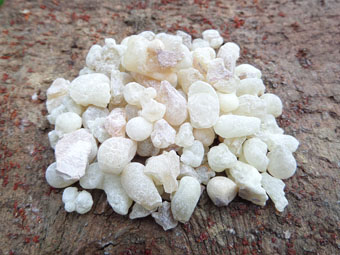Organic White Frankincense Resin