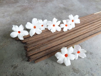 Absolute Parijata Blossom Incense