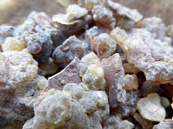 Frankincense Resin