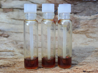 Sample Set - Organic Agarwood Oil Collection (3 x 0.25g Samples)