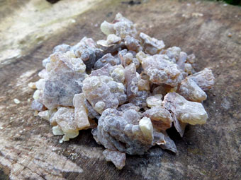 Organic Black Frankincense Resin