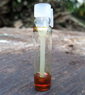 Organic Assam Agarwood Oil (0.25g Sample)