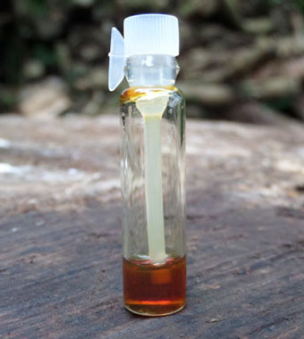 Organic Royal Assam Agarwood Oil (0.25g Sample)